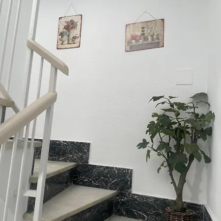 Apartment Plumaria