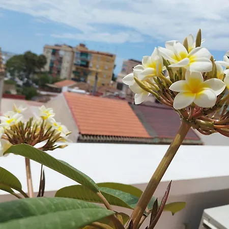 Apartment Plumaria Malaga