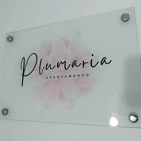 Plumaria Apartamento Málaga