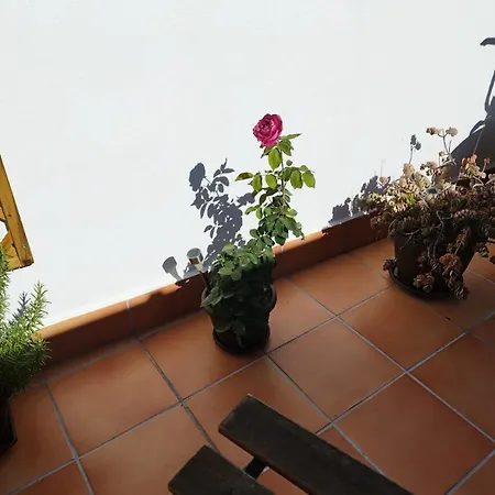 Apartamento Plumaria