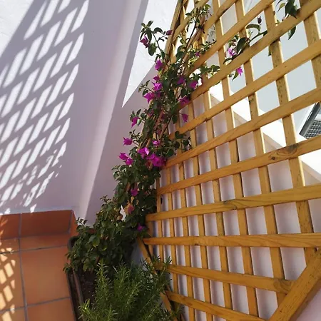 Plumaria Apartment *