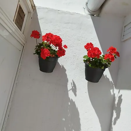 Plumaria Malaga